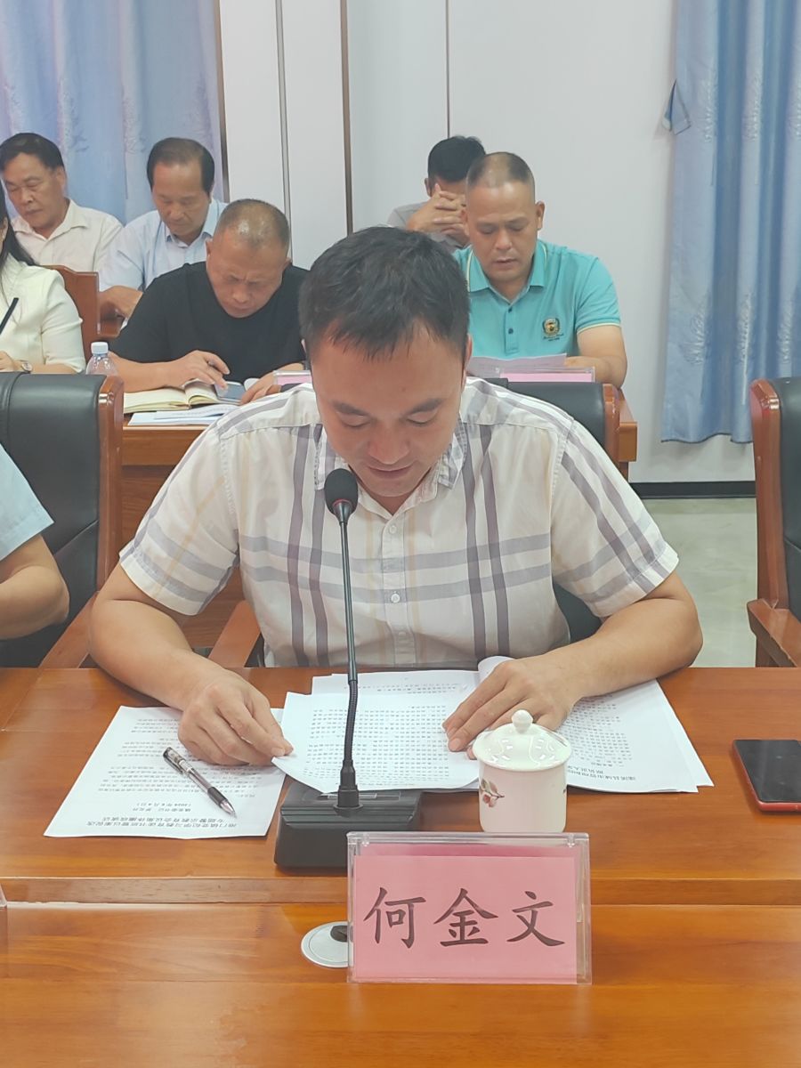 鎮黨委副書記何金文.jpg