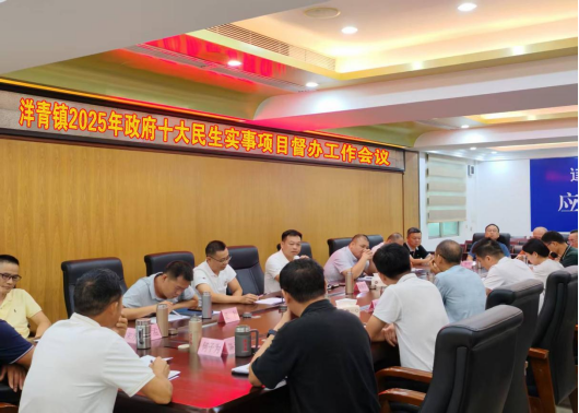 洋青鎮人大：召開2025年政府十大民生實事項目督辦工作會議